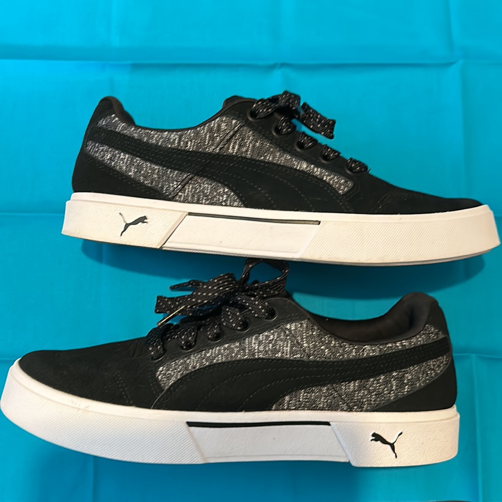 Puma Ever Fs
